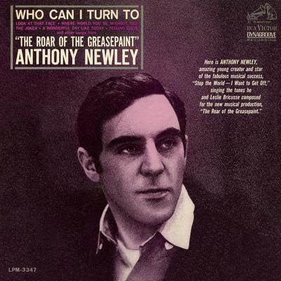 The Beautiful Land By Anthony Newley's cover