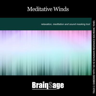 Pure Wind By Brainsage's cover