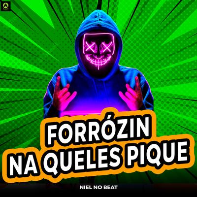 Forrozin na Queles Pique By Niel No Beat, Alysson CDs Oficial's cover