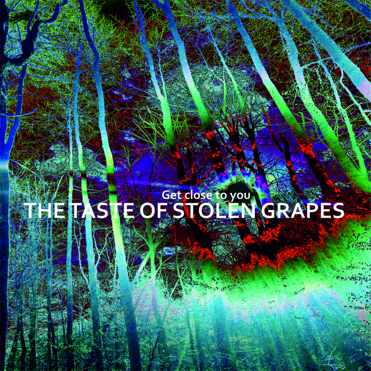 THE TASTE OF STOLEN GRAPES's avatar image