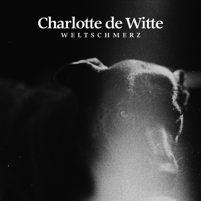 Damage Control By Charlotte de Witte's cover