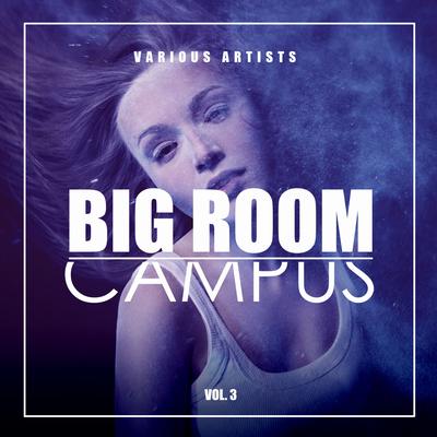 Big Room Campus, Vol. 3's cover