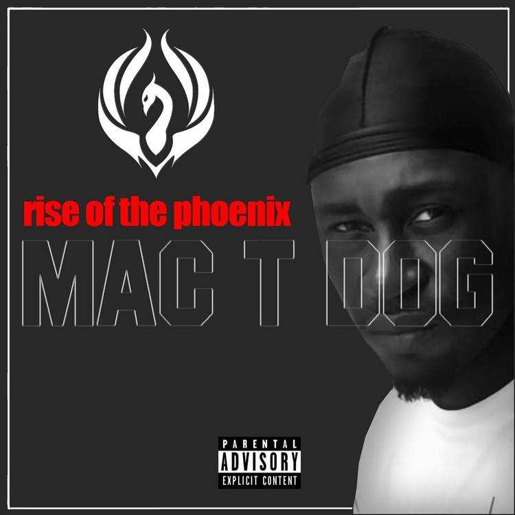 Mac T Dog's avatar image