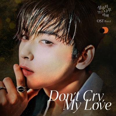 Don't Cry, My Love By Cha Eun-Woo's cover