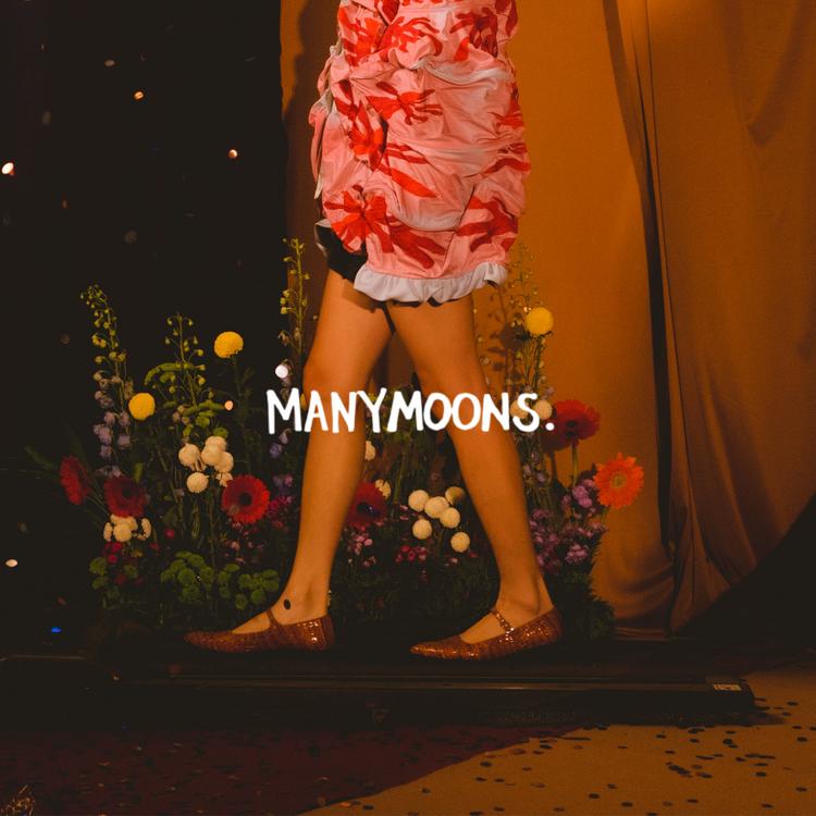 Manymoons.'s avatar image