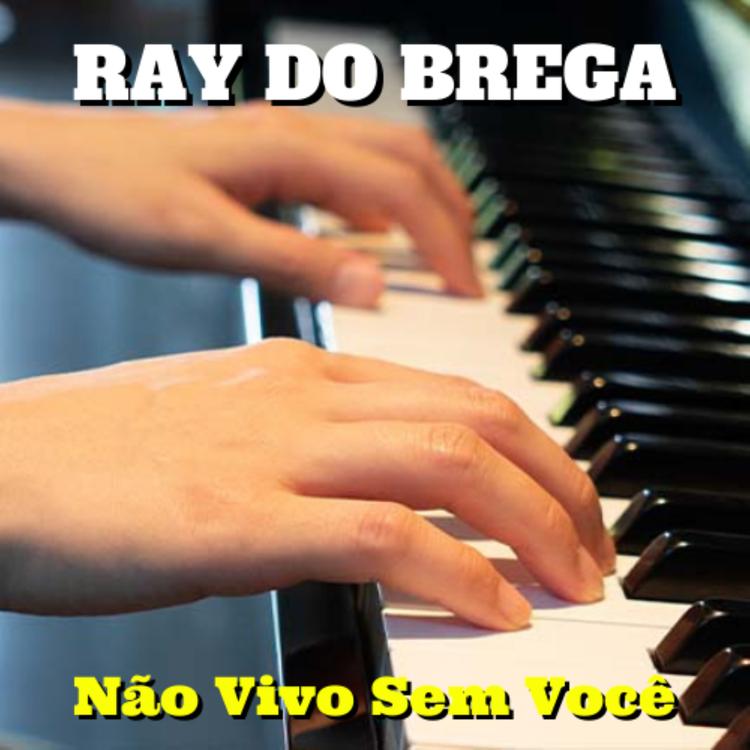 Ray do Brega's avatar image