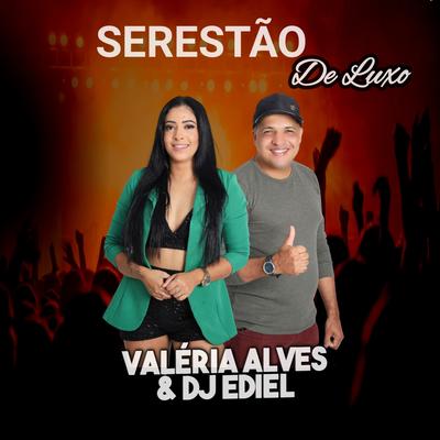 Volte Amor By Valéria Alves & DJ Ediel's cover