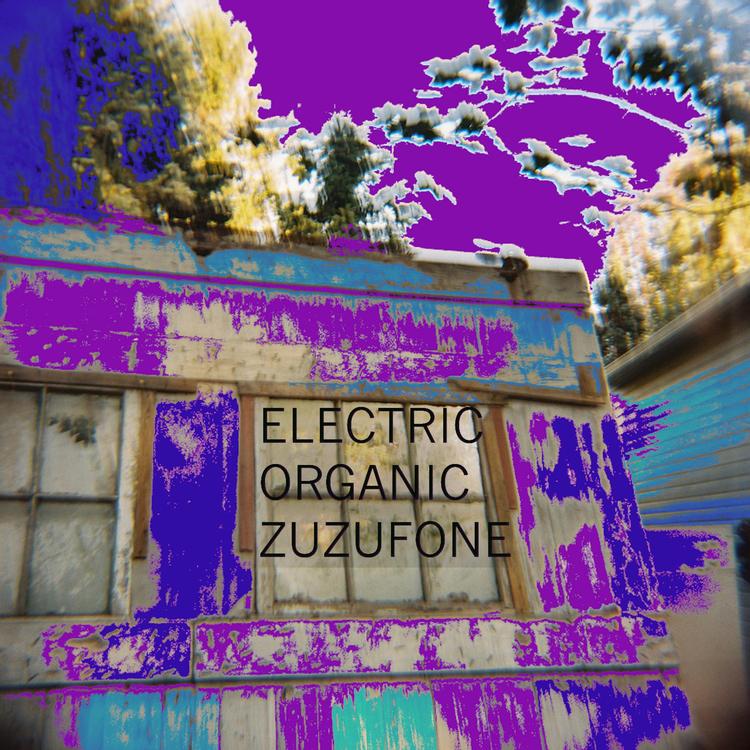 Electric Organic's avatar image