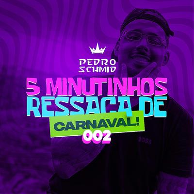 5 MINUTINHOS RESSACA DE CARNAVAL 002 By DJ PEDRO SCHMID's cover