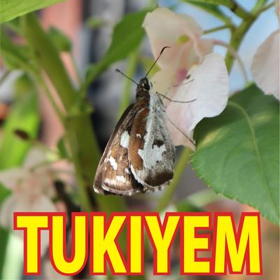 Tukiyem's cover