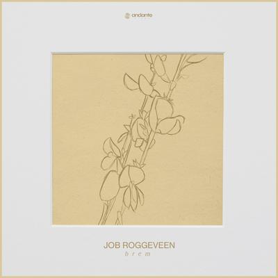 Brem By Job Roggeveen's cover