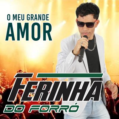 O Meu Grande Amor (Cover)'s cover