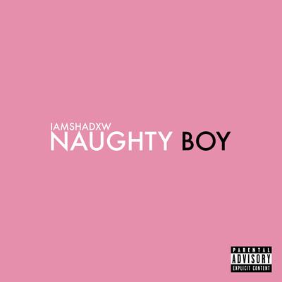 Naughty Boy's cover