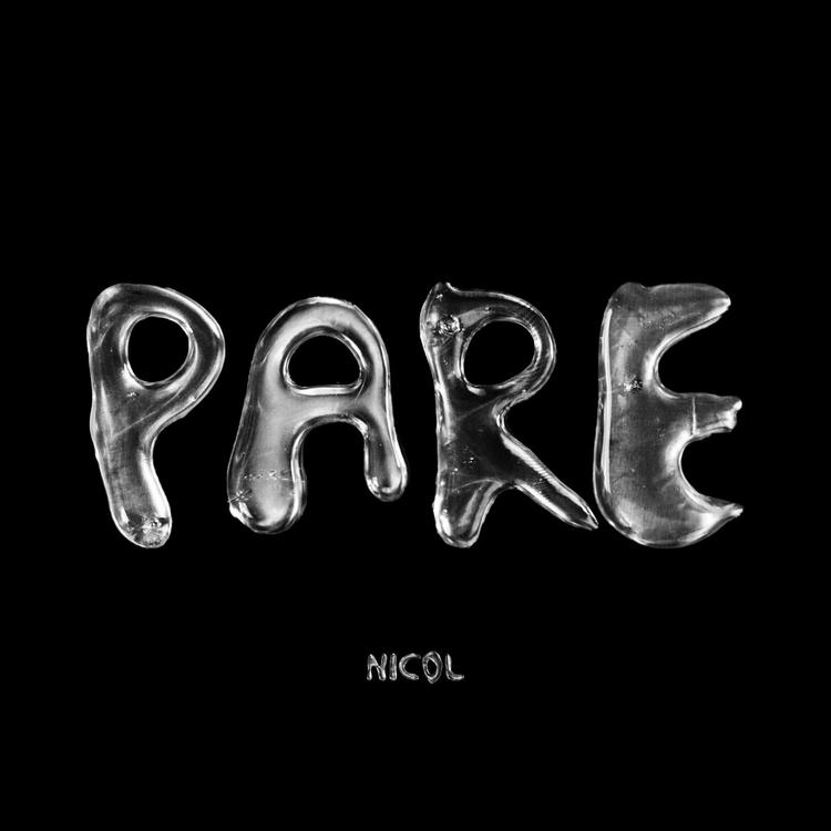 NICOL's avatar image
