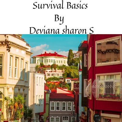Survival Basics (Remix)'s cover