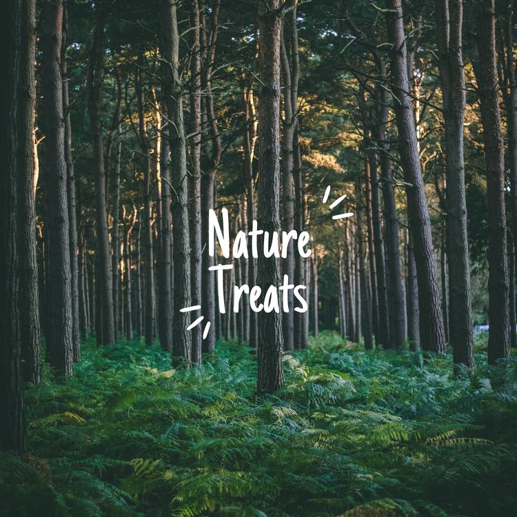 Nature Treats's avatar image