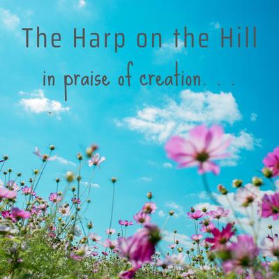 The Majesty of Nature By The Harp on the Hill's cover