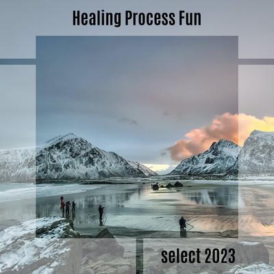 Healing Process Fun Select 2023's cover