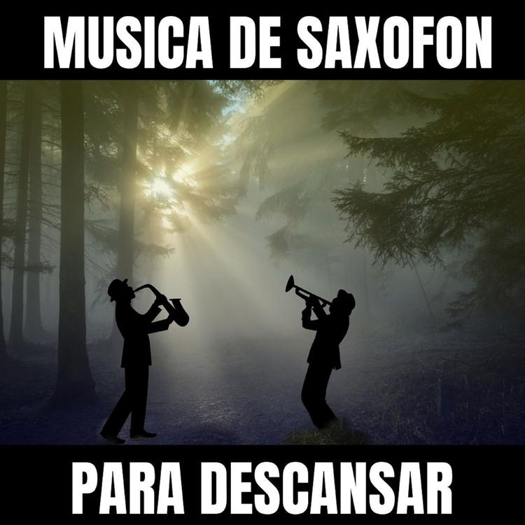 Musica De Saxofon Para Descansar's avatar image