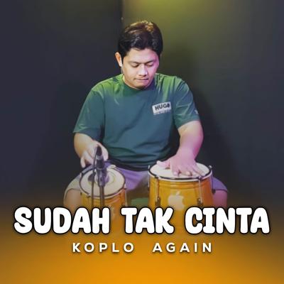 DJ Sudah Tak Cinta (Versi Koplo)'s cover