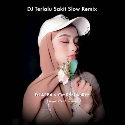 DJ Terlalu Sakit Slow Remix's cover