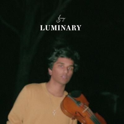 Luminary's cover