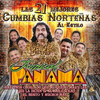 Las 21 Mejores Cumbias Norteñas al Estilo's cover