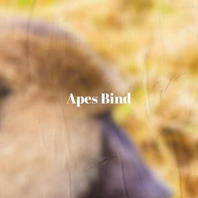 Apes Bind's cover