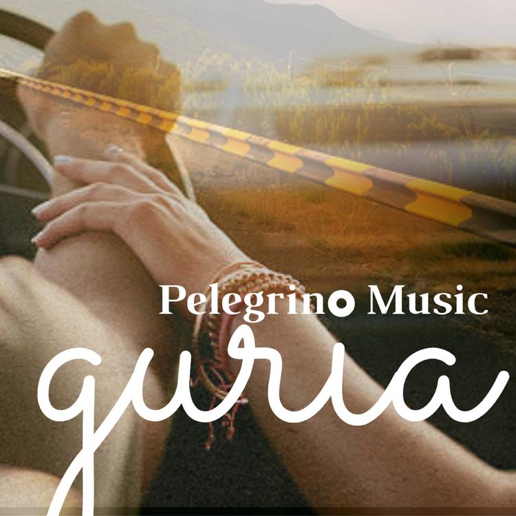 PELEGRINO MUSIC's avatar image