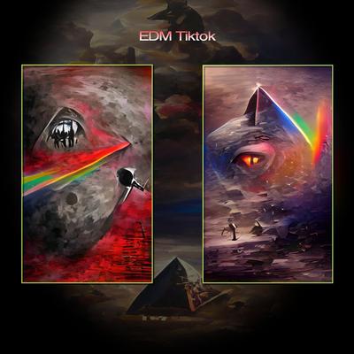 EDM Tiktok's cover
