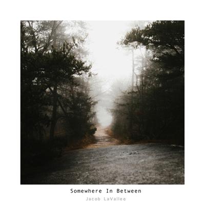 Somewhere in Between By Jacob LaVallee's cover