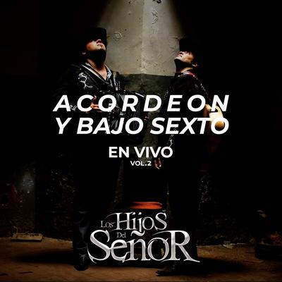 Acordeon Y Bajo Sexto, Vol. 2 (En Vivo)'s cover