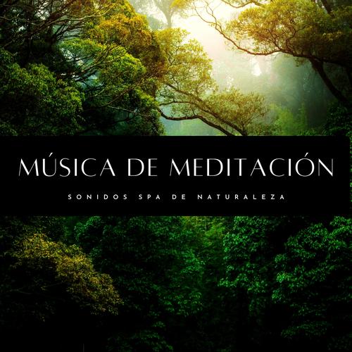 Musica Relajante Y Reflexion Relajante Official TikTok Music  album by  Musica Para Meditar - Listening To All 10 Musics On TikTok Music