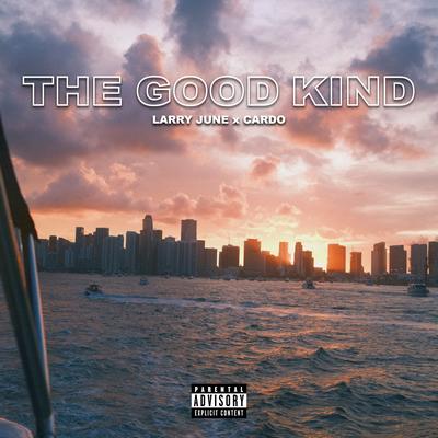 The Good Kind's cover