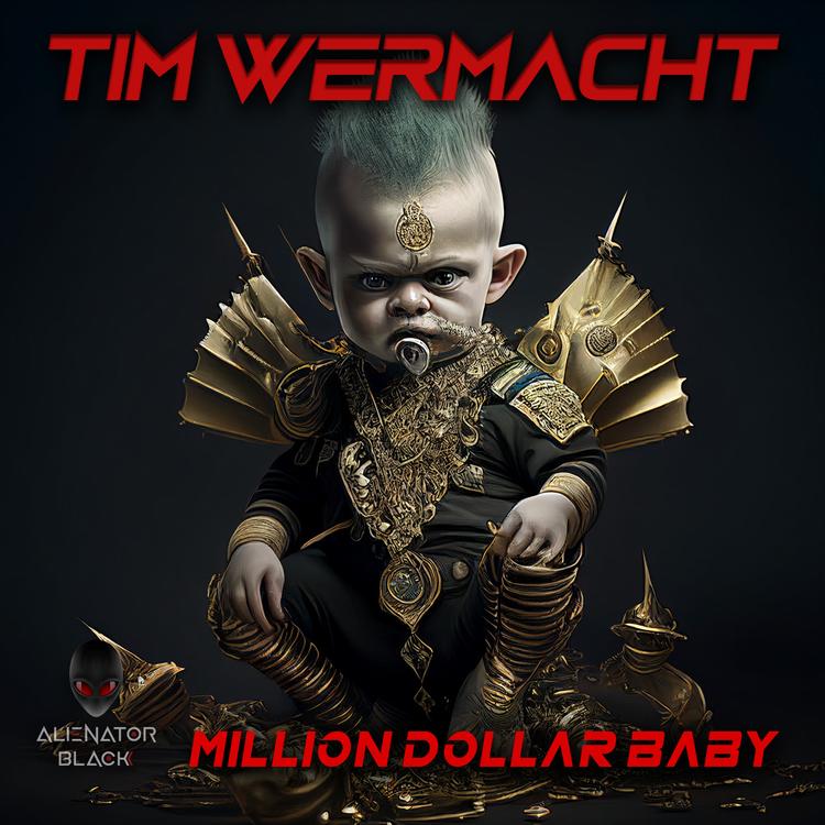 Tim Wermacht's avatar image