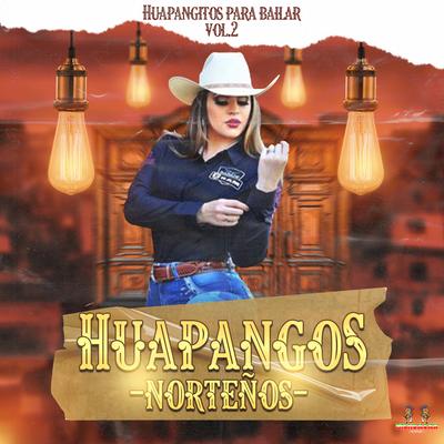 Huapangos Para Bailar Vol. 2's cover