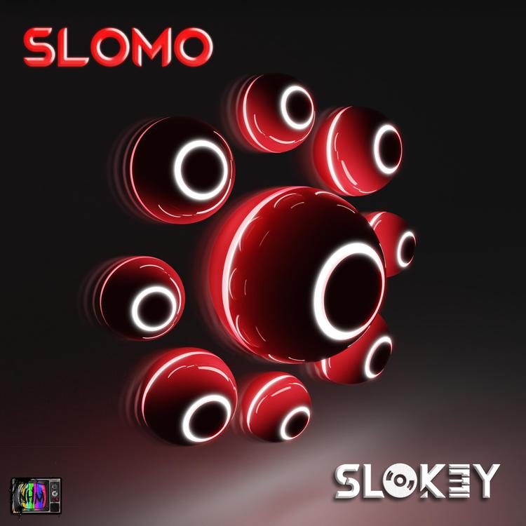 Slokey's avatar image