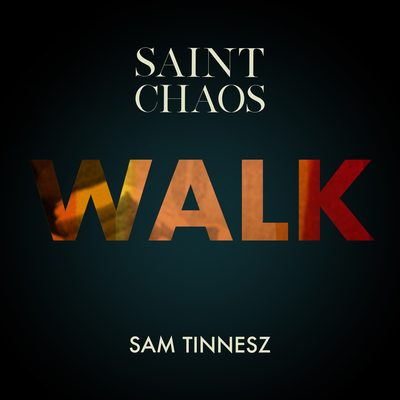 Walk By Saint Chaos, Sam Tinnesz's cover