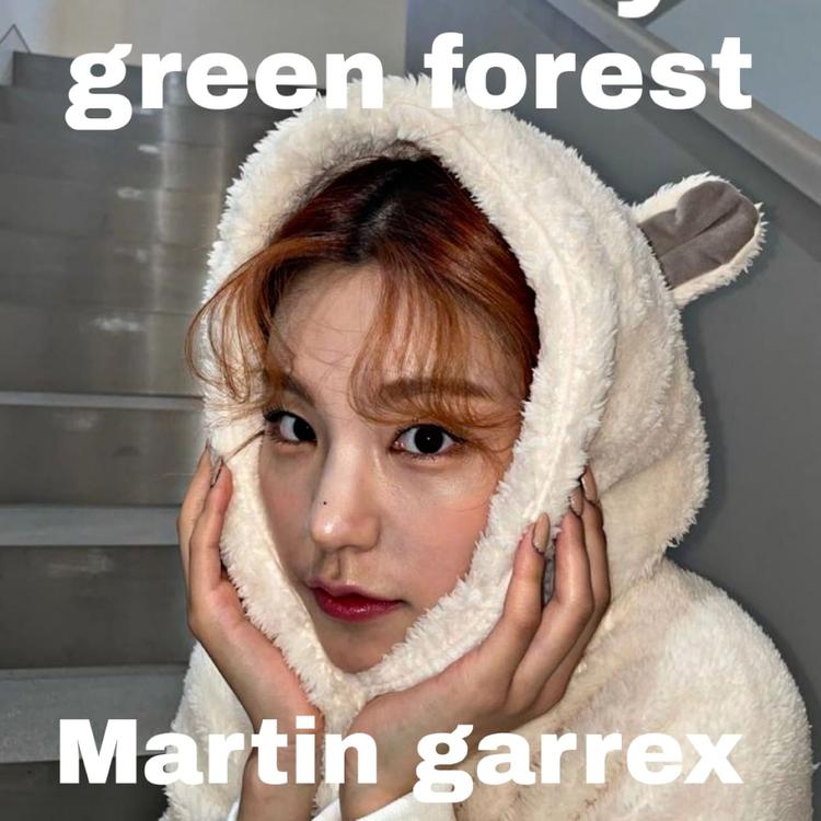 martin garrex's avatar image