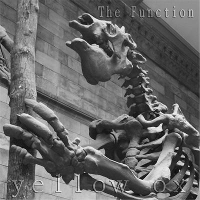 The Function By Yellow Ox's cover