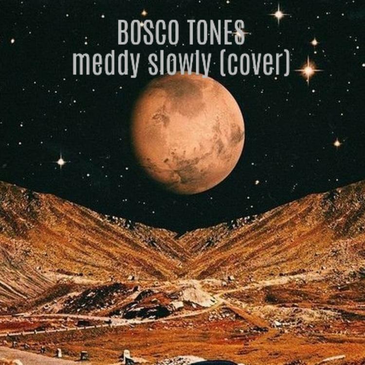 Bosco Tones's avatar image