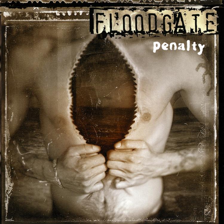 Floodgate's avatar image