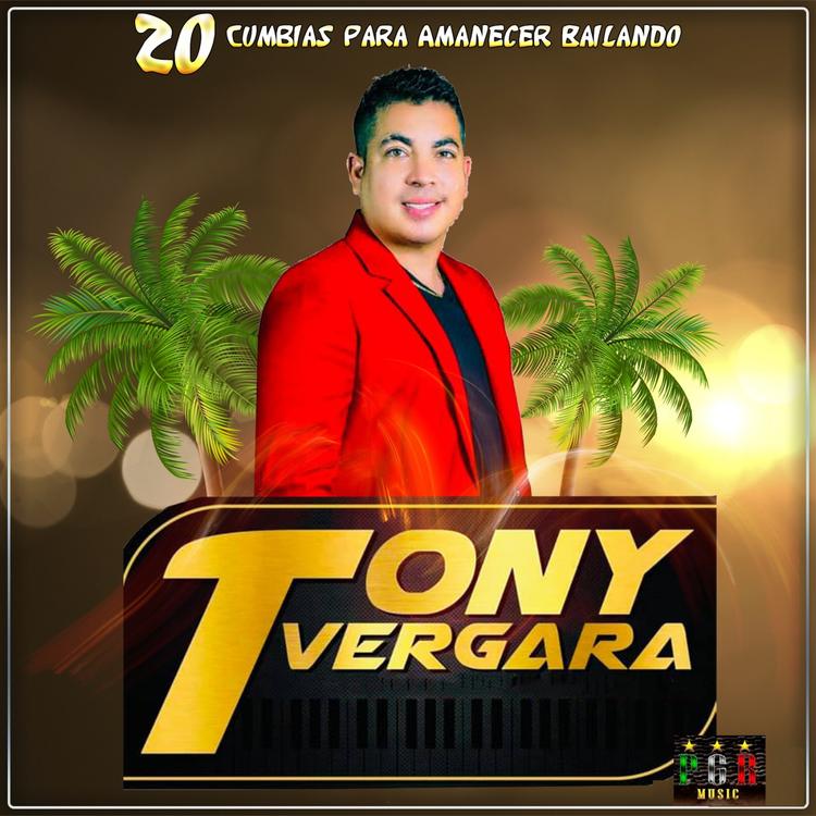 Tony Vergara's avatar image