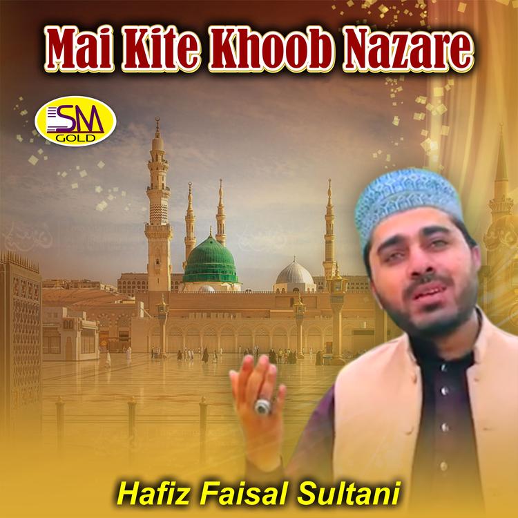 Hafiz Faisal Sultani's avatar image