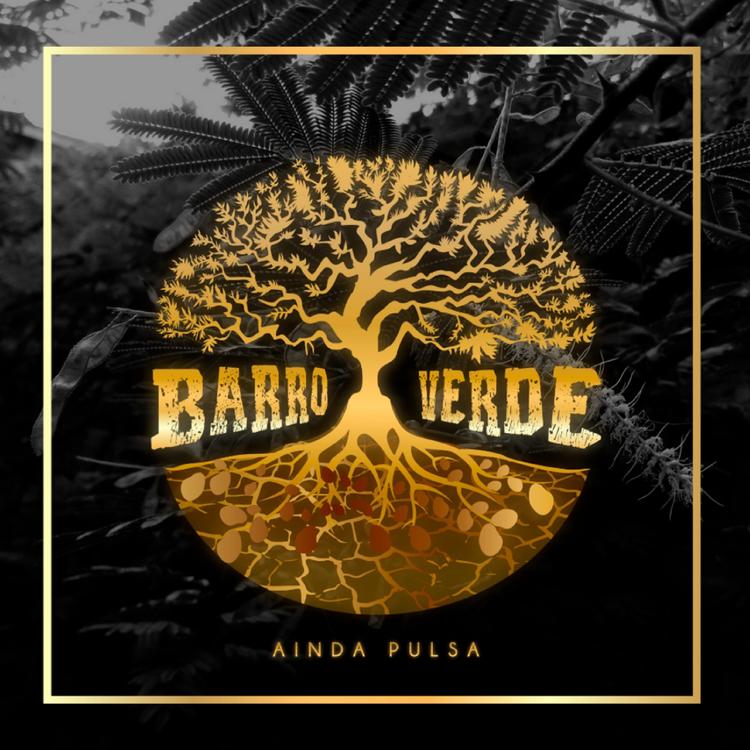 Barro Verde's avatar image