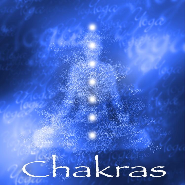 Chakras Yoga Spécialistes's avatar image