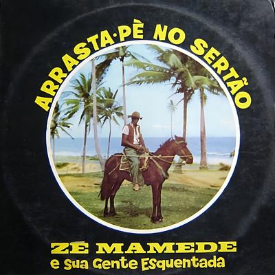 Zé Mamede's cover