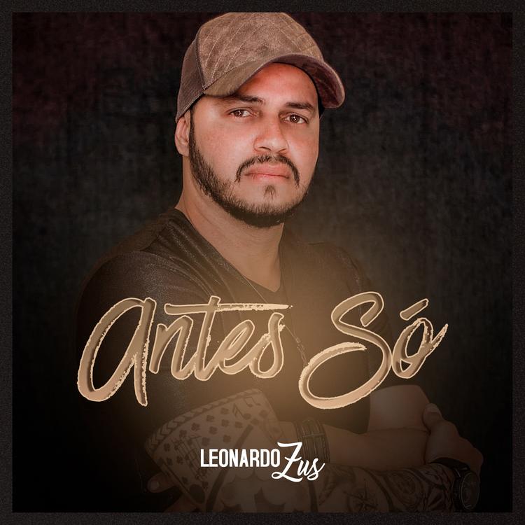 Leonardo Zus's avatar image