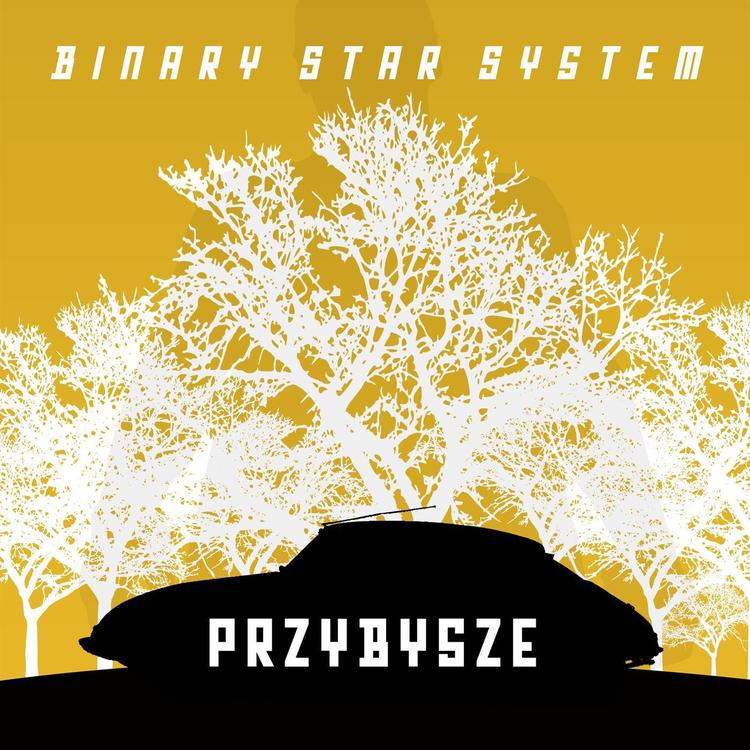 Binary Star System's avatar image