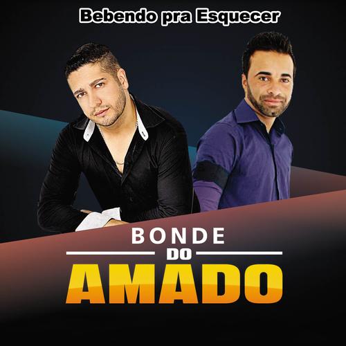 ARROCHA-BONDE DO AMADO's cover